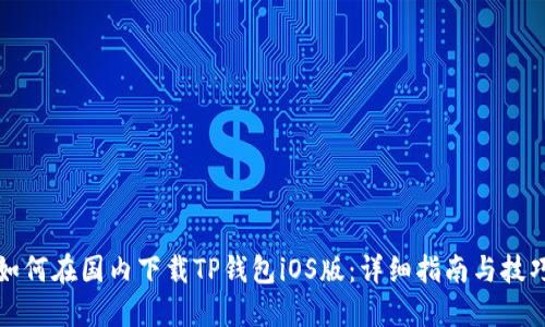 如何在国内下载TP钱包iOS版：详细指南与技巧