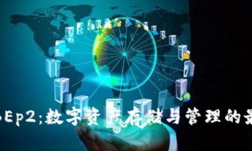 TP钱包BEp2：数字资产存储与管理的最佳选择