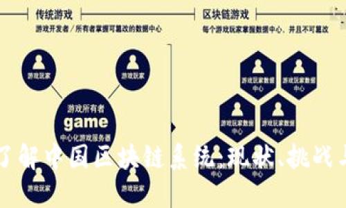 深入了解中国区块链系统：现状、挑战与未来