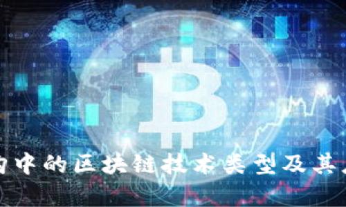 政府采购中的区块链技术类型及其应用解析