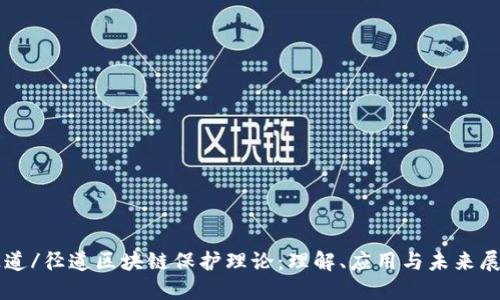 径道/径道区块链保护理论：理解、应用与未来展望