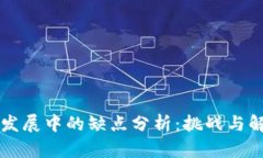 区块链发展中的缺点分析：挑战与解决方案