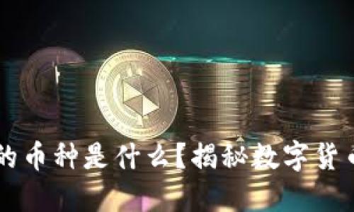 区块链最值钱的币种是什么？揭秘数字货币的价值与未来