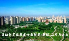 区块链算法技术全面解析：原理、应用与未来
