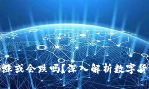 TP钱包里的币会涨或会跌吗？深入解析数字货币市场的波动性