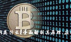 区块链的公网是什么？全面解析其原理、应用与