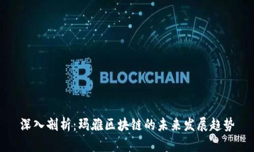 深入剖析：玛雅区块链的未来发展趋势