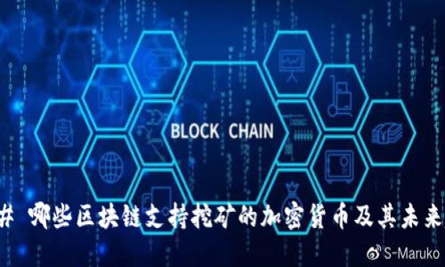 ### 哪些区块链支持挖矿的加密货币及其未来趋势