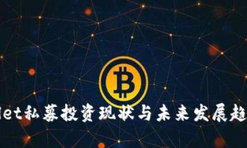 TPWallet私募投资现状与未来发展趋势解析