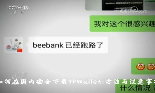 如何在国内安全下载TPWallet：方法与注意事项