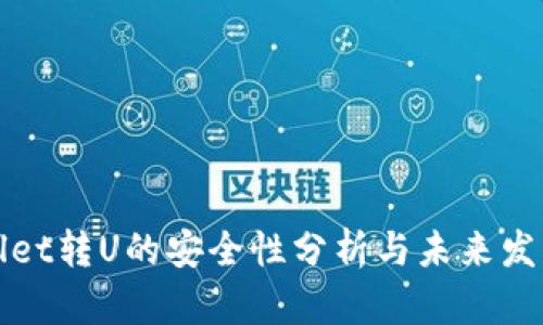TPWallet转U的安全性分析与未来发展趋势
