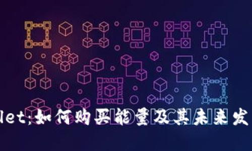 TPWallet：如何购买能量及其未来发展趋势