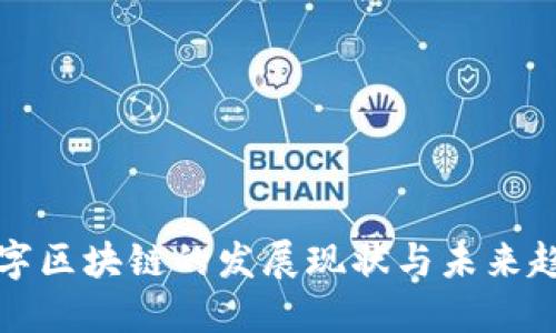 国内数字区块链的发展现状与未来趋势探讨