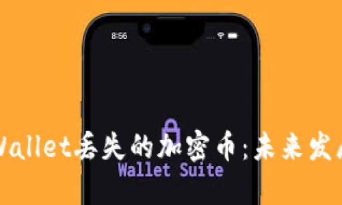 如何有效找回在TPWallet丢失的加密币：未来发展的趋势与解决方法