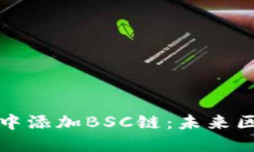 如何在TPwallet中添加BSC链：未来区块链发展的趋势