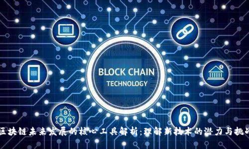 区块链未来发展的核心工具解析：理解新技术的潜力与挑战