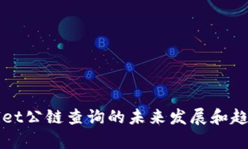 TPWallet公链查询的未来发展和趋势分析