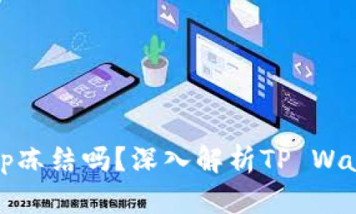tpwallet的私钥能被tp冻结吗？深入解析TP Wallet安全性与私钥管理
