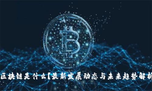 区块链是什么？最新发展动态与未来趋势解析