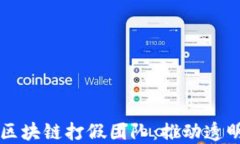 深入探索印度区块链打假团队：推动透明与信任