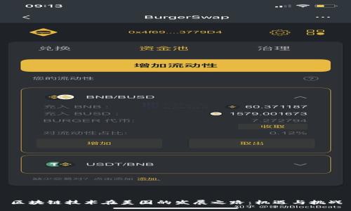 区块链技术在美国的发展之路：机遇与挑战