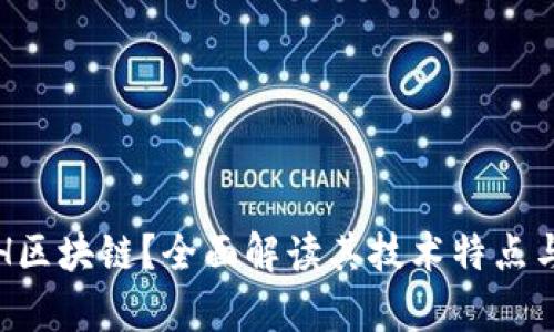 什么是TSH区块链？全面解读其技术特点与应用前景