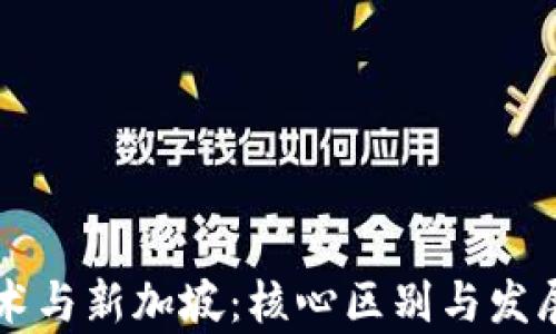 
区块链技术与新加坡：核心区别与发展前景分析