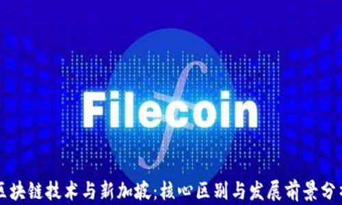 
区块链技术与新加坡：核心区别与发展前景分析