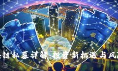: 区块链私募详解：投资新机遇与风险管理