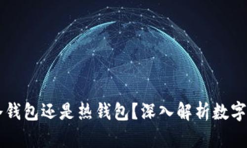 TPWallet是冷钱包还是热钱包？深入解析数字资产存储方式