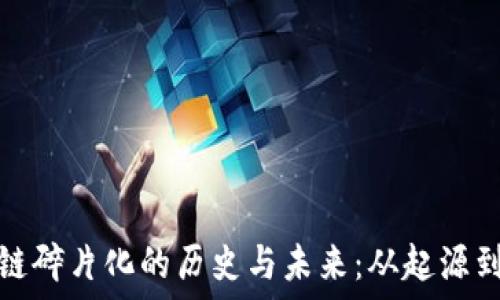   
区块链碎片化的历史与未来：从起源到发展