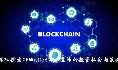 深入探索TPWallet与韭菜币的投资机会与策略