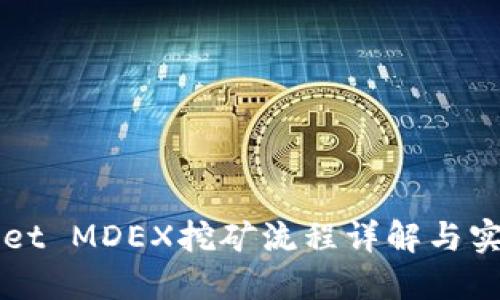 TPWallet MDEX挖矿流程详解与实用指南
