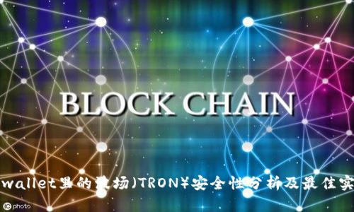 tpwallet里的波场（TRON）安全性分析及最佳实践