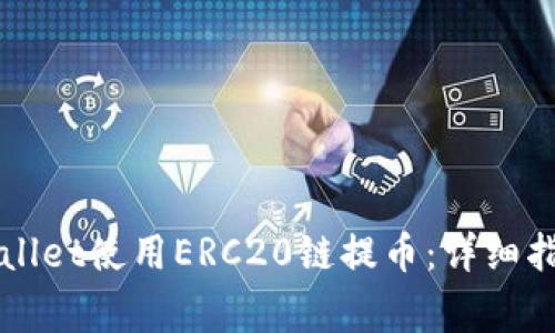 如何通过TPWallet使用ERC20链提币：详细指南与注意事项