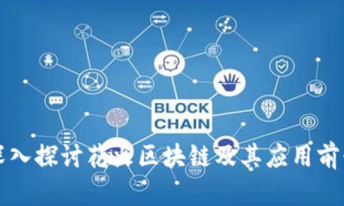 深入探讨花火区块链及其应用前景